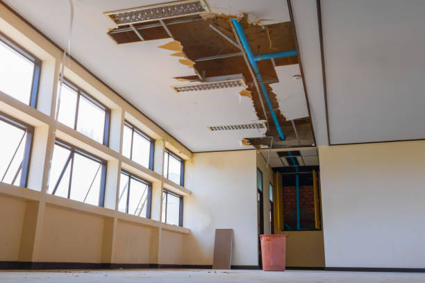 Best Fire Damage Restoration  in Lawnton, PA
