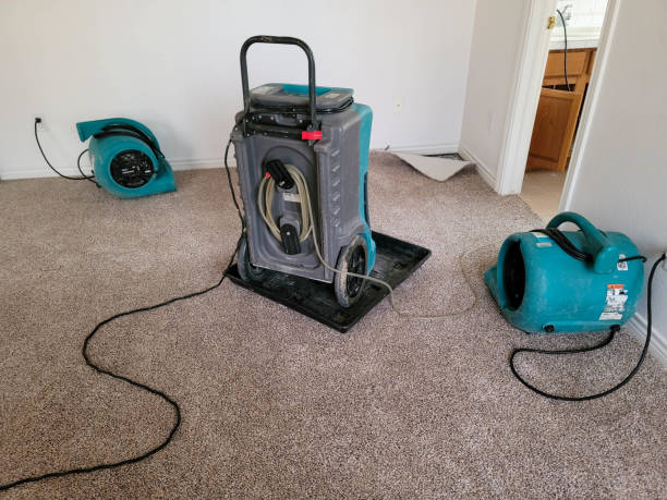 Best Flooded house restoration  in Lawnton, PA