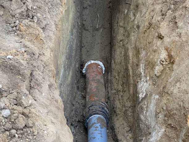 Best Professional water damage repair  in Lawnton, PA