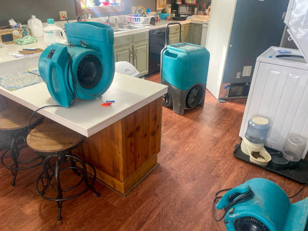 Best 24-hour water damage restoration  in Lawnton, PA