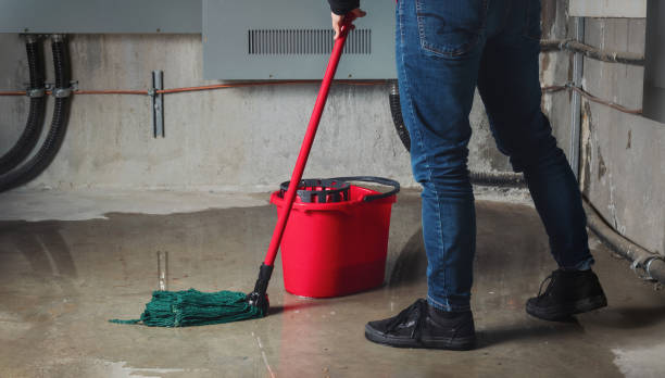 Best Basement water damage restoration  in Lawnton, PA