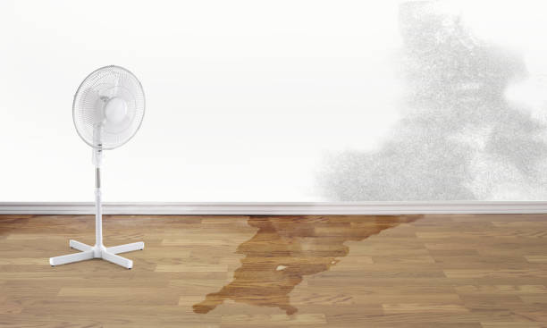 Best Water damage restoration near me  in Lawnton, PA