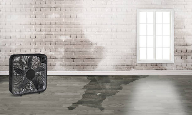 Fire Damage Restoration in Lawnton, PA