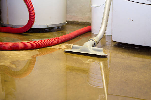 Best Mold removal after water damage  in Lawnton, PA