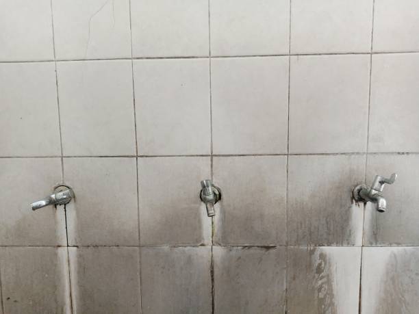 Best Sewage cleanup and water damage restoration  in Lawnton, PA