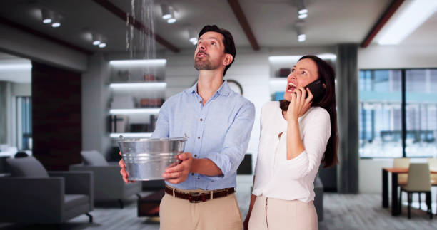 Best Mold removal after water damage  in Lawnton, PA