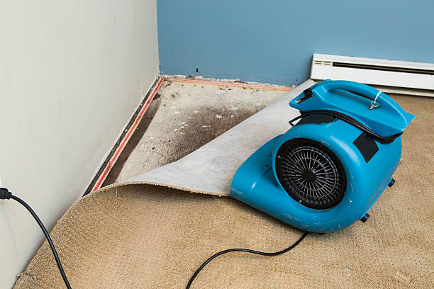 Best Flood restoration services  in Lawnton, PA